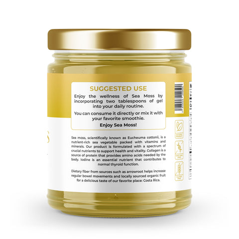 Sea Moss Premium Gel with Banana | 16 oz