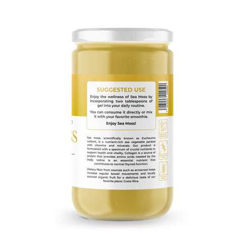 Sea Moss Premium Gel with Banana | 8 oz