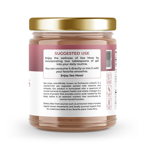 Sea Moss Premium Gel with Elderberry | 16 oz