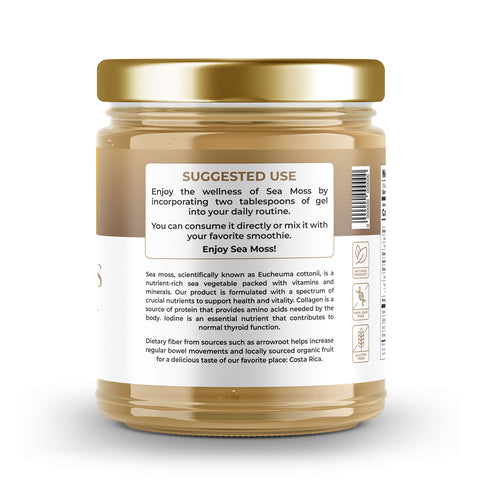 Sea Moss Premium Gel with Ginger | 16 oz