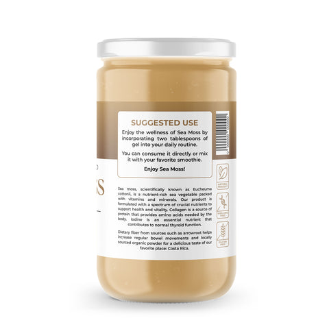 Sea Moss Premium Gel with Ginger | 8 oz