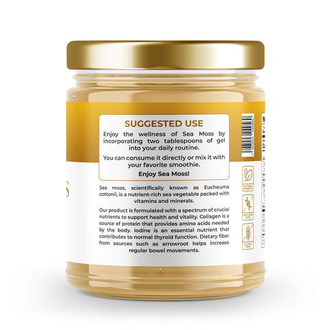 Sea Moss Premium Gel Gold | 16 oz