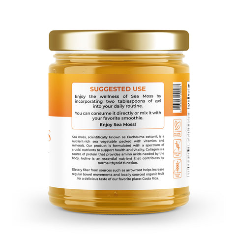 Sea Moss Premium Gel with Mango | 16 oz