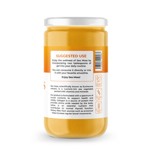 Sea Moss Premium Gel with Mango | 8 oz