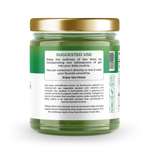 Sea Moss Premium Gel with Moringa | 16 oz