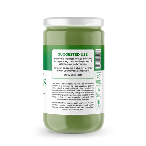 Sea Moss Premium Gel with Moringa | 8 oz