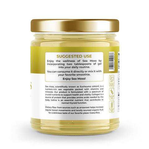 Sea Moss Premium Gel with Pineapple | 16 oz