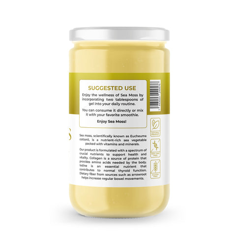 Sea Moss Premium Gel with Pineapple | 8 oz