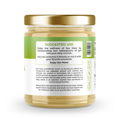 Sea Moss Premium Gel with Soursop | 16 oz
