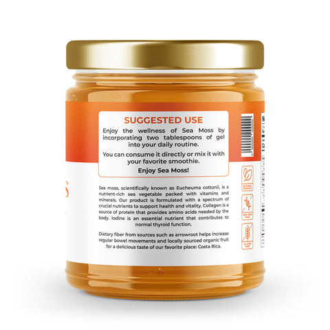Sea Moss Premium Gel with Turmeric | 16 oz