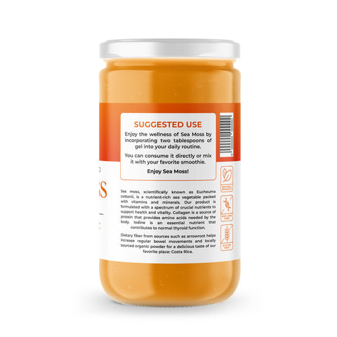 Sea Moss Premium Gel with Turmeric | 8 oz